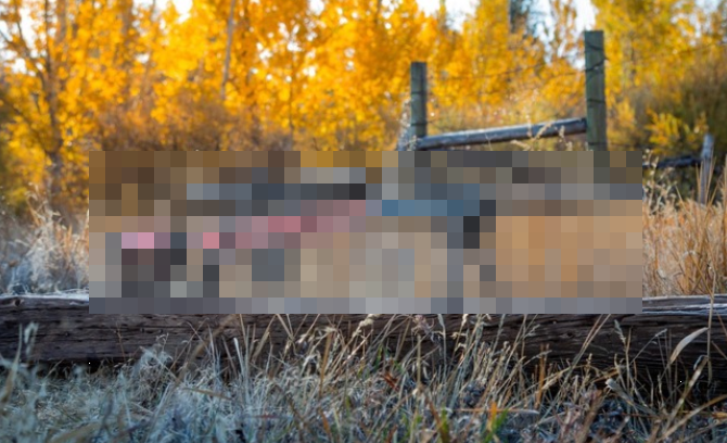 アメリカのとある米兵「俺が持ってる日本の銃は性能がいいぜ」 → 何の銃かと思いきや、まさかのアレだったｗｗｗｗｗ