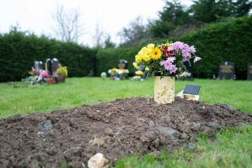 【悲報】ムスリム土葬墓地経営者「助けて！土葬墓地経営してたら、無断で◯◯体もの遺体を埋められたの！」