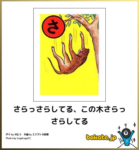笑った画像を貼って『フリー素材ｗｗｗｗｗ』