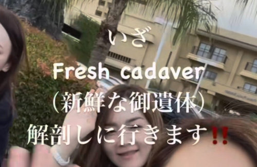 献体前でピースの女性医師、東京美容外科が30日付けで解任を発表