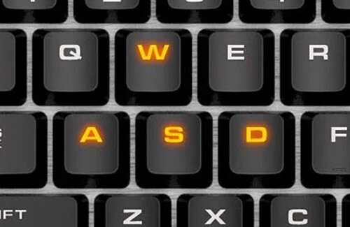 CSゲーマー「PCゲームのWASD移動は人間のやる操作じゃない！ゴミ！」 ← 共感の声が殺到ｗｗｗｗ