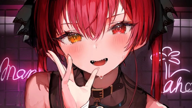 VTuber・宝鐘マリンさんのライブ、客層が想像以上にカオスだったｗｗｗｗｗｗ
