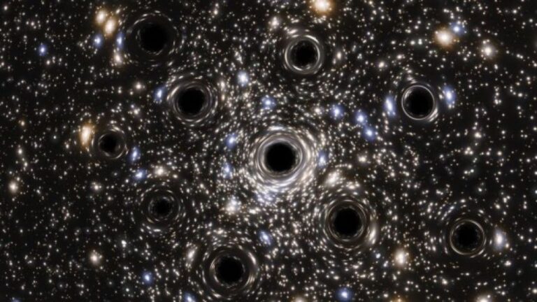 巨大星団の中心にブラックホールの群れを発見！