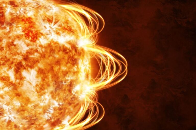 約2700年前、地球が壊滅的な太陽嵐に襲われていたことが古代樹の年輪から判明