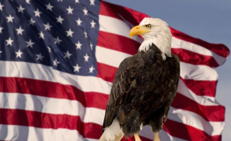 むしろ公式じゃなかったことにびっくり！ハクトウワシがアメリカの国鳥に正式認定