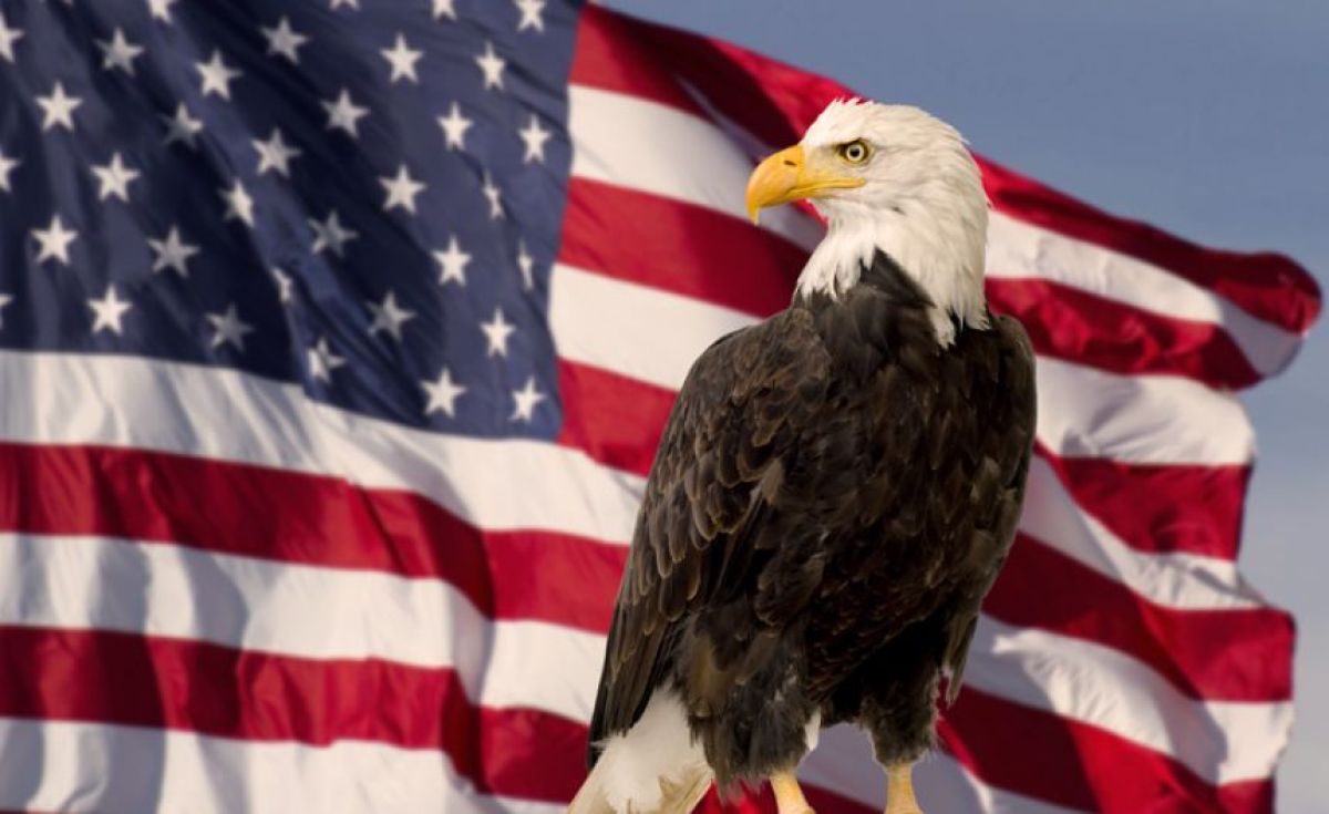 むしろ公式じゃなかったことにびっくり！ハクトウワシがアメリカの国鳥に正式認定