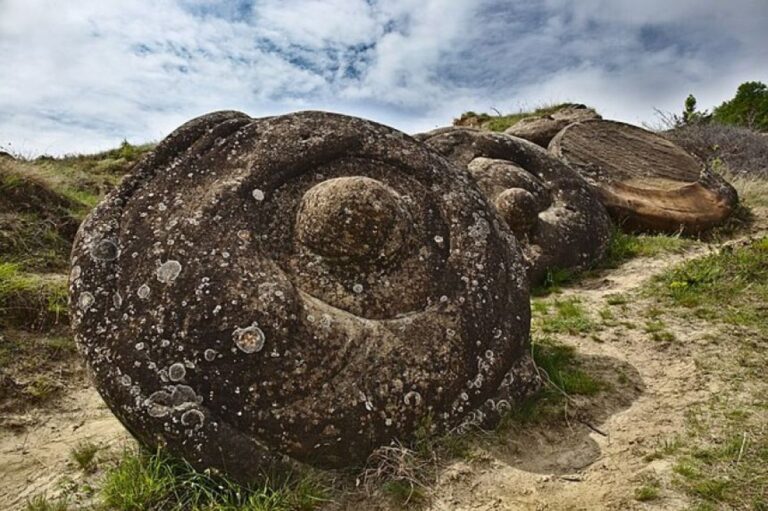 ルーマニアの生きた岩「トロヴァント」、成長して動き、時に繁殖する