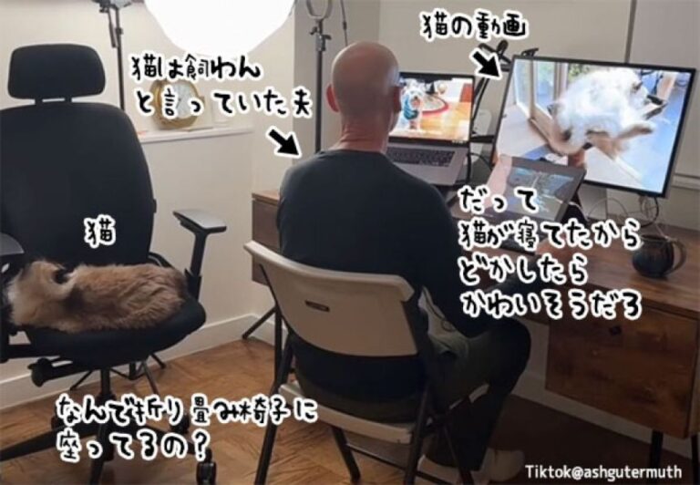 猫はいらないと言っていた夫が結局下僕となってしまった瞬間を妻が激写！