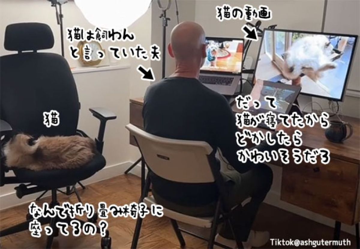 猫はいらないと言っていた夫が結局下僕となってしまった瞬間を妻が激写！