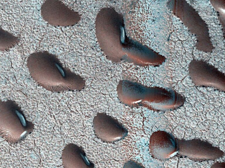 火星の地表に現れた凍った豆の正体は？過去の水の痕跡を示す砂丘の謎