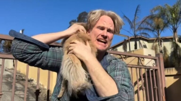 涙が止まらない！ロサンゼルス山火事を5日間生き抜いた犬、飼い主と感動の再会