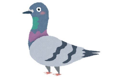 新宿駅「鳩被害ヤバいから対策しないと…せや！こうしたろ！」 → 結果ｗｗｗｗｗｗｗ