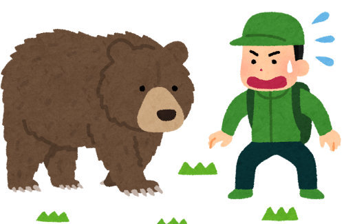 ヒグマ駆除の公表をためらう自治体が増加中…全国から「なぜ◯した」と抗議や非難が相次ぐため