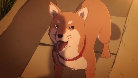 【泣いた】愛犬の急死で早退した若手社員を見送った後、オジサン社員達がヒソヒソ　→　陰口かと思って聞いたら、あまりにまさか過ぎる言葉だった…