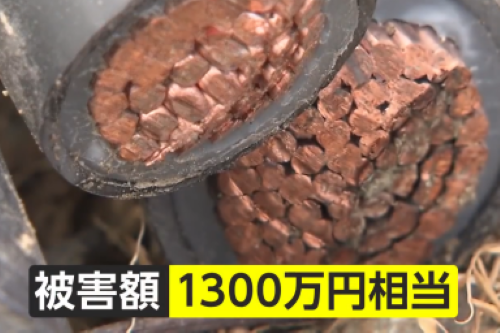 銅線泥棒の在日中国人「日本は無防備なお宝がそこら中に転がっている」「今、一番おいしいのは全国に急増したアレ」