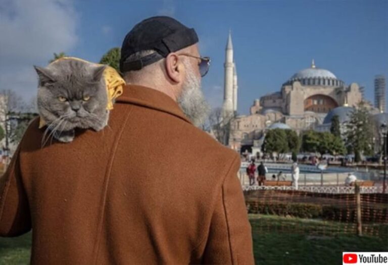 愛猫を肩に乗せイスタンブールを巡る、トルコの名物“猫おじさん”に会えたらラッキー！