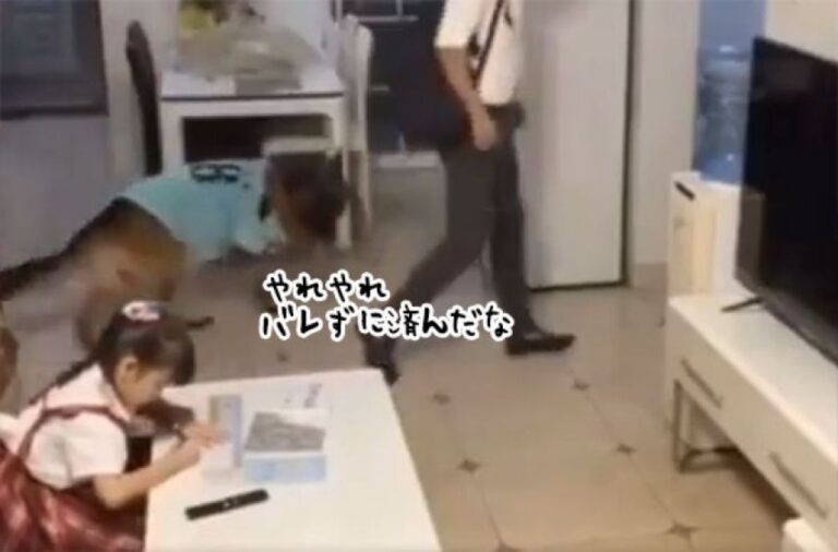 来るぞ！宿題をさぼってテレビを見ていた少女に合図する犬、おかげでバレずに済んだ