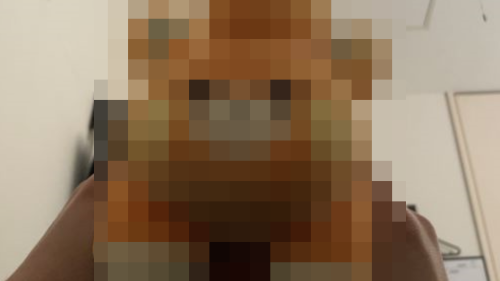 【画像】「尻にぬいぐるみ刺してるのかと思いました」←意味がわかった瞬間爆笑してしまうｗｗｗｗｗ