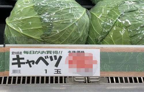 【悲報】富山県、ついに1時間働いただけではキャベツ1玉が買えない世界線へ突入・・・