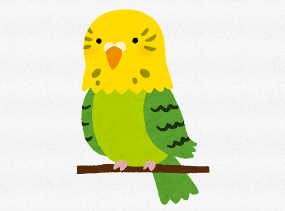 X民「幼い頃、飼っていたインコが亡くなった。帰宅したら、新聞に包まれていた何かが机の上にあった。遺体だと思って、埋葬した」 → 結果…