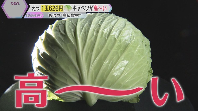 庶民「キャベツ一玉500円は高すぎ！買えない！」→農家「実はこれが適正価格に近いです。機械や設備の価格はおよそ倍になり、人件費も毎年上昇しています」→庶民「」