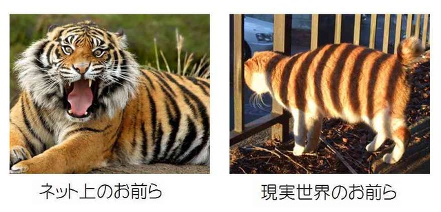よく否定する人・叩く人の特徴がコレらしいぞｗｗｗｗｗｗｗ