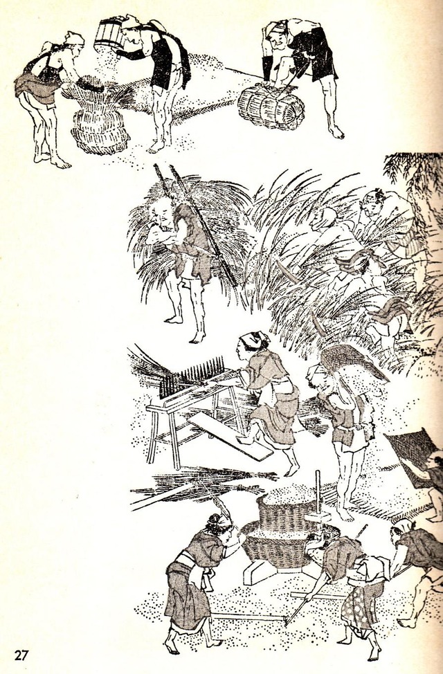 日本の米の歴史を少し読んでみたけど、昔の日本人って本当にお米が大好きすぎだろ