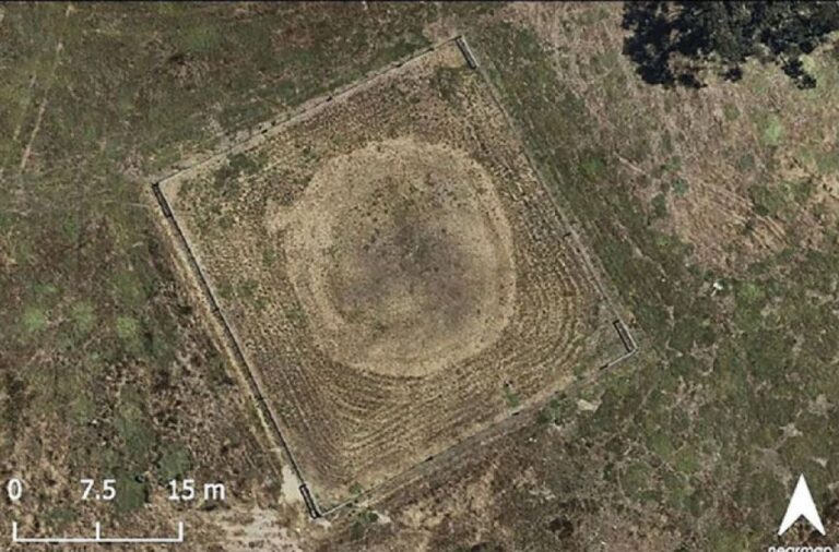 オーストラリアの1400万年前の謎めいた「地のリング」の正体が判明