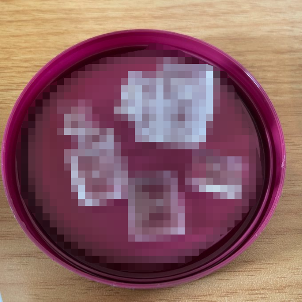 「塩の結晶作りたいから材料作って観察しよ」→そのまま忘れて2年後、とんでもないことにｗｗｗｗｗ