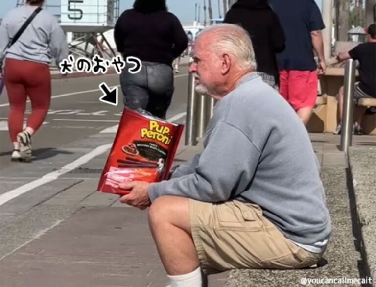やさしい世界。犬のおやつを手に、散歩中の犬がやってくるのを待ち続けるおじいさん