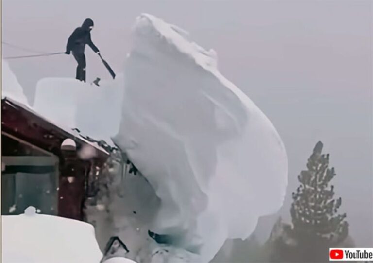 再生回数1200万回を突破した屋根の雪下ろし映像総集編