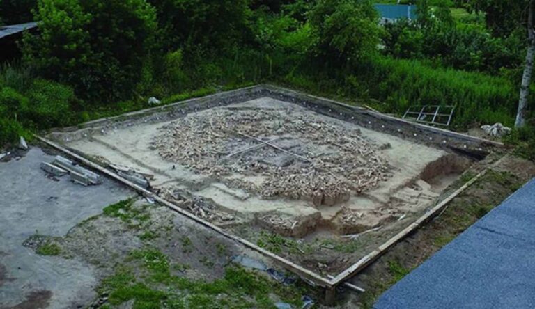 マンモスの骨で作られた古代の巨大構造物、その作り方と用途がDNA分析で明らかに