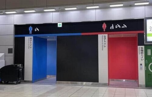 【画像】「どの駅でも男子トイレはガラガラなのに女子トイレだけ行列」　→　現地調査した結果、ヤバすぎる真実が判明……