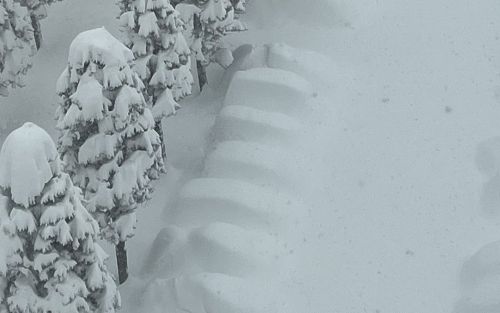 北海道の大雪がどれくらいヤバいのか一瞬で理解できる写真がコチラ・・・「これ全部◯◯ですよ」