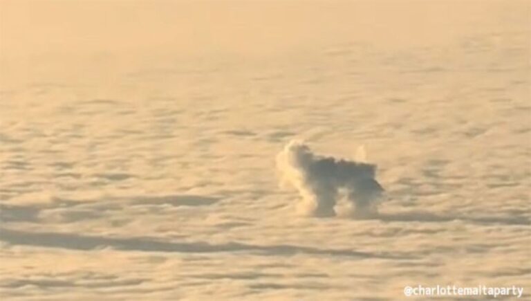 愛犬を失った女性、空の旅で予期せぬ再会に涙。雲になって会いに来てくれた！