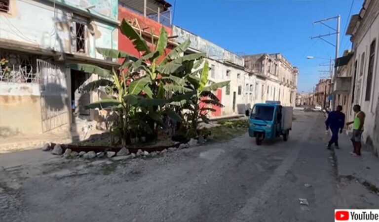 道路にあいた陥没穴、放置されたまま3年後、果樹園になっていた（キューバ）