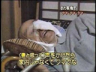 不謹慎だが笑ってしまう画像を貼ってください