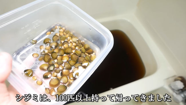 ユーチューバー「マコモ湯の水質はシジミで浄化できるのか？100匹以上入れて試してみるわ！」 → 72時間後、衝撃の展開にｗｗｗｗｗ