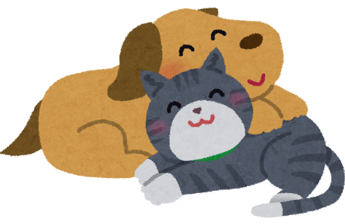 ワンニャン平和党共同代表「大物政治家と犬猫食禁止の話をしたら『日本の鯨食も禁止される』と顔色が変わった」「犬猫と鯨を一緒にするのはナンセンス」