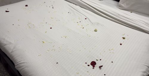 男性「ホテルにチェックインしたら、ベッドの上がゴミだらけなんだけど！？掃除してないじゃん！」→まさかの理由が判明・・・