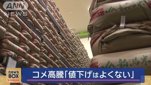 政府の備蓄米放出に、米産地のJA「現状が生産者からすると適正価格、値下げするのは良くない」
