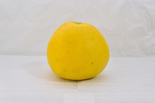 ボンタン湯に入ったおじいちゃん、「食べたかったから」という理由でその場のボンタンを食べてしまう…