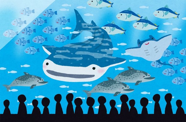 【恐怖】水族館のマーメイドショー中、あの魚がスタッフを丸呑みしかけてしまう…