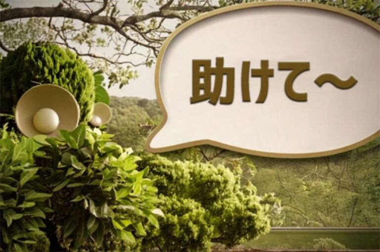 植物のストレスを察知して、人間に知らせてくれるウェアラブルデバイス