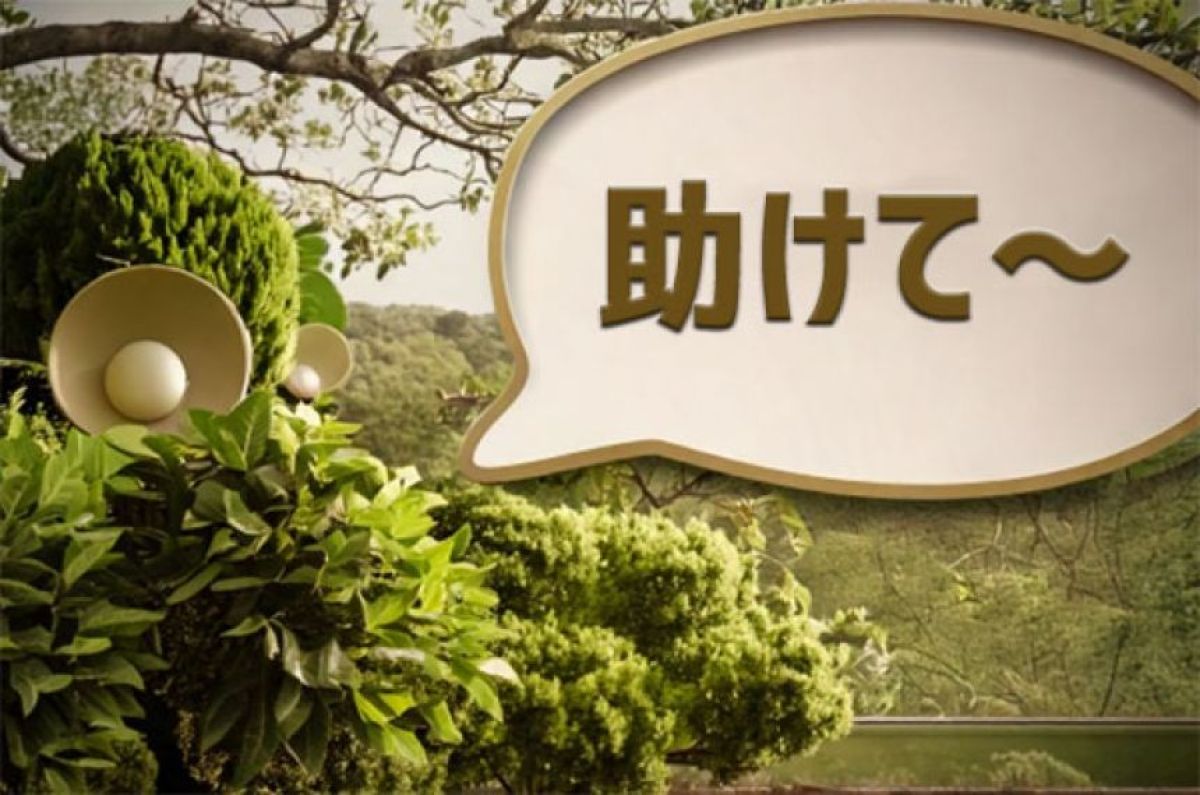 植物のストレスを察知して、人間に知らせてくれるウェアラブルデバイス