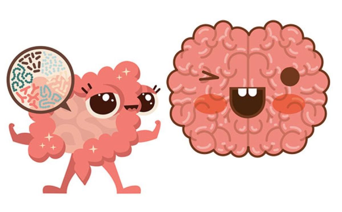 腸内細菌がどうやって脳を操っているのか？その方法が明らかに