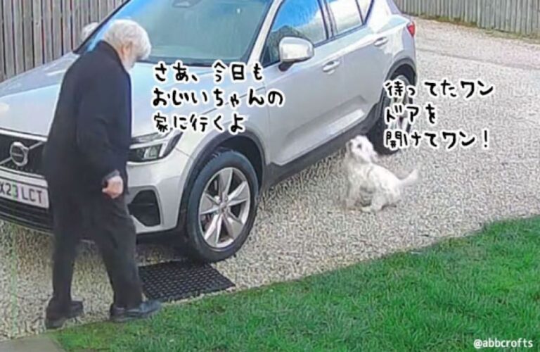 犬を迎えに来て送り届けるのが日課、83歳のおじいさんの微笑ましいルーティーン