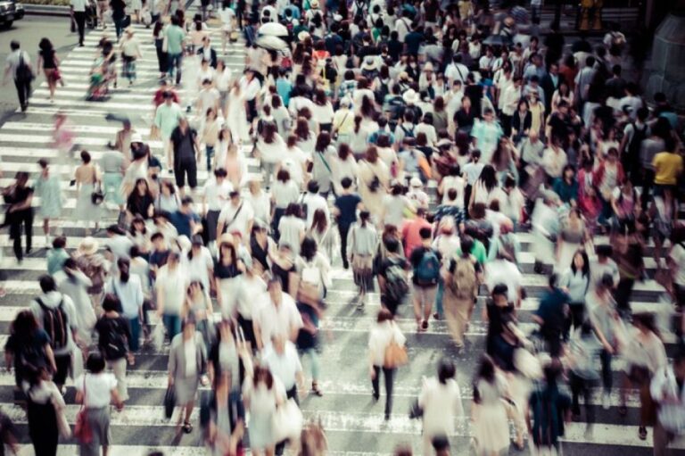 横断歩道の法則。歩行者の進路が13度を超えると混乱が生じることが判明