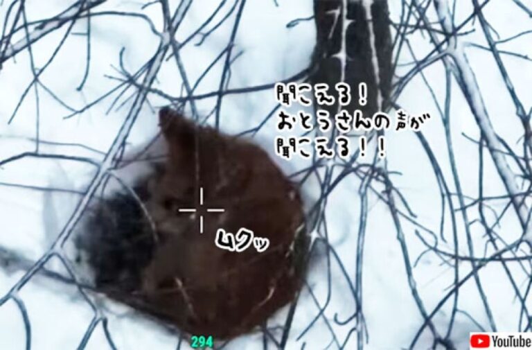 雪の中で一晩過ごした迷子犬をドローン捜査で発見！飼い主の声に瞬時に反応