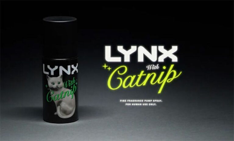 猫飼い女性を虜にしたいならまず猫から！マタタビ成分配合のフレグランスが限定販売！